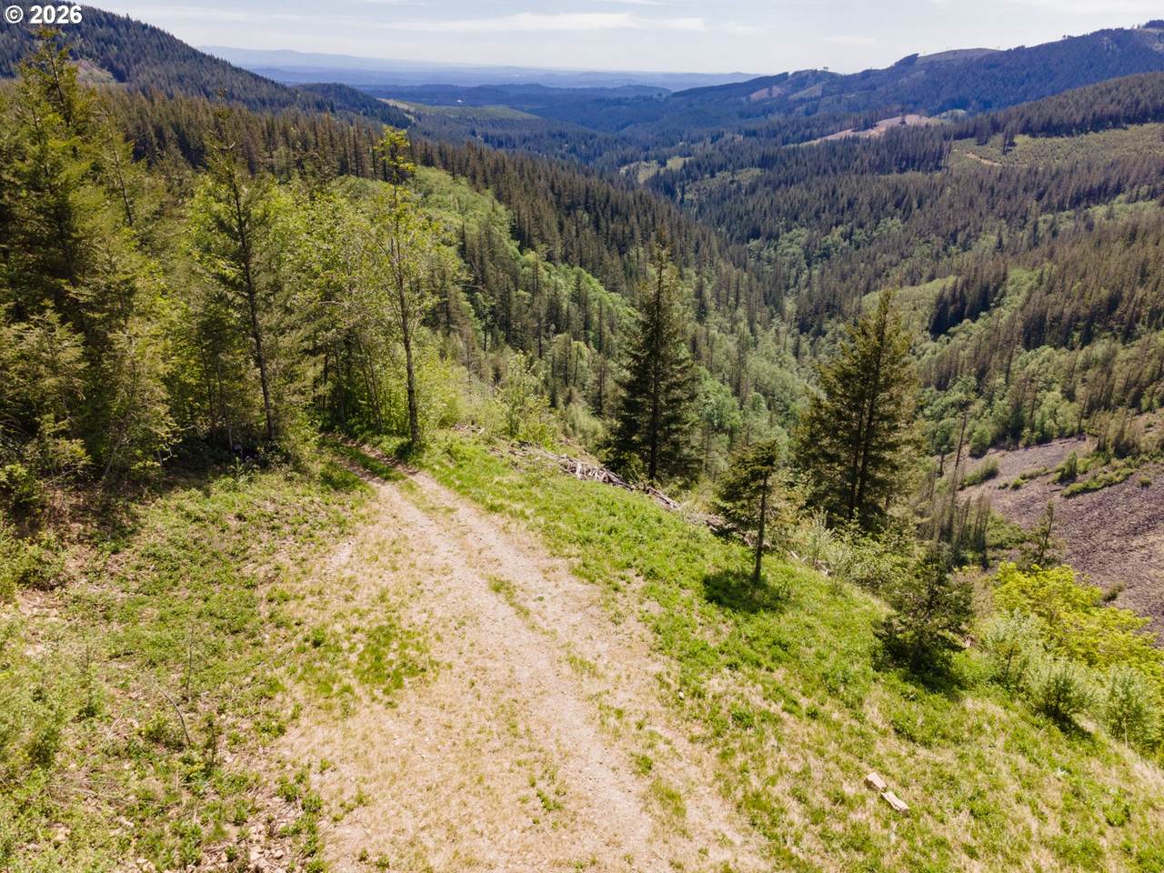  Snag Mountain Rd - Photo 1
