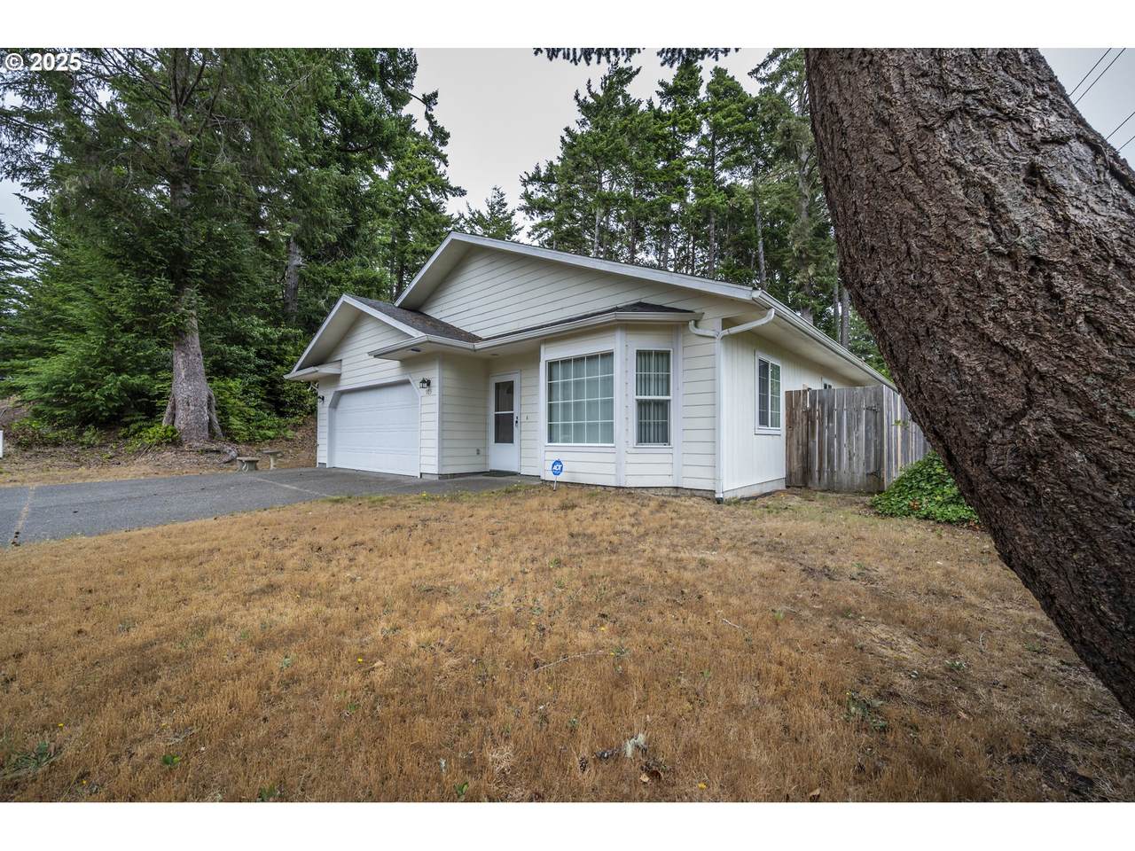 903 Chickses Dr - Photo 1