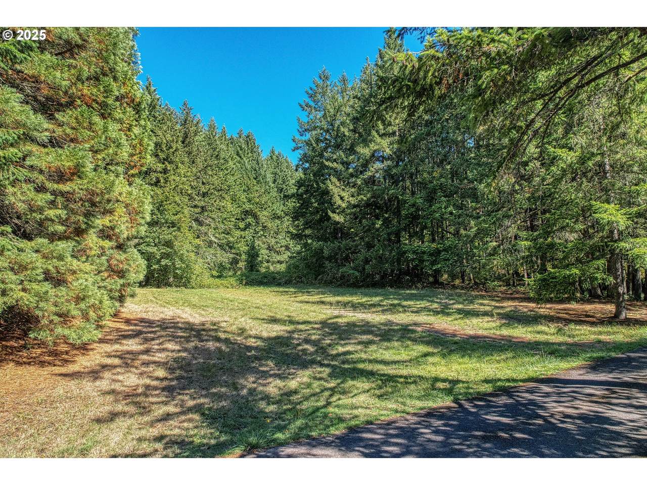 10887 Cornelius Pass Rd - Photo 1