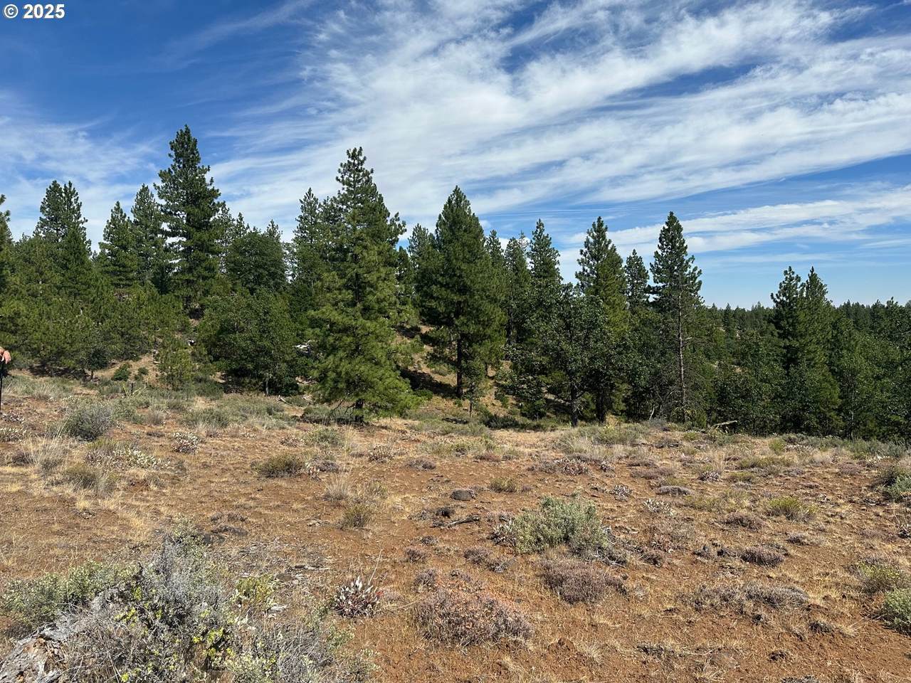 https://bt-photos.global.ssl.fastly.net/portland/1280_boomver_1_797131098-2.jpg