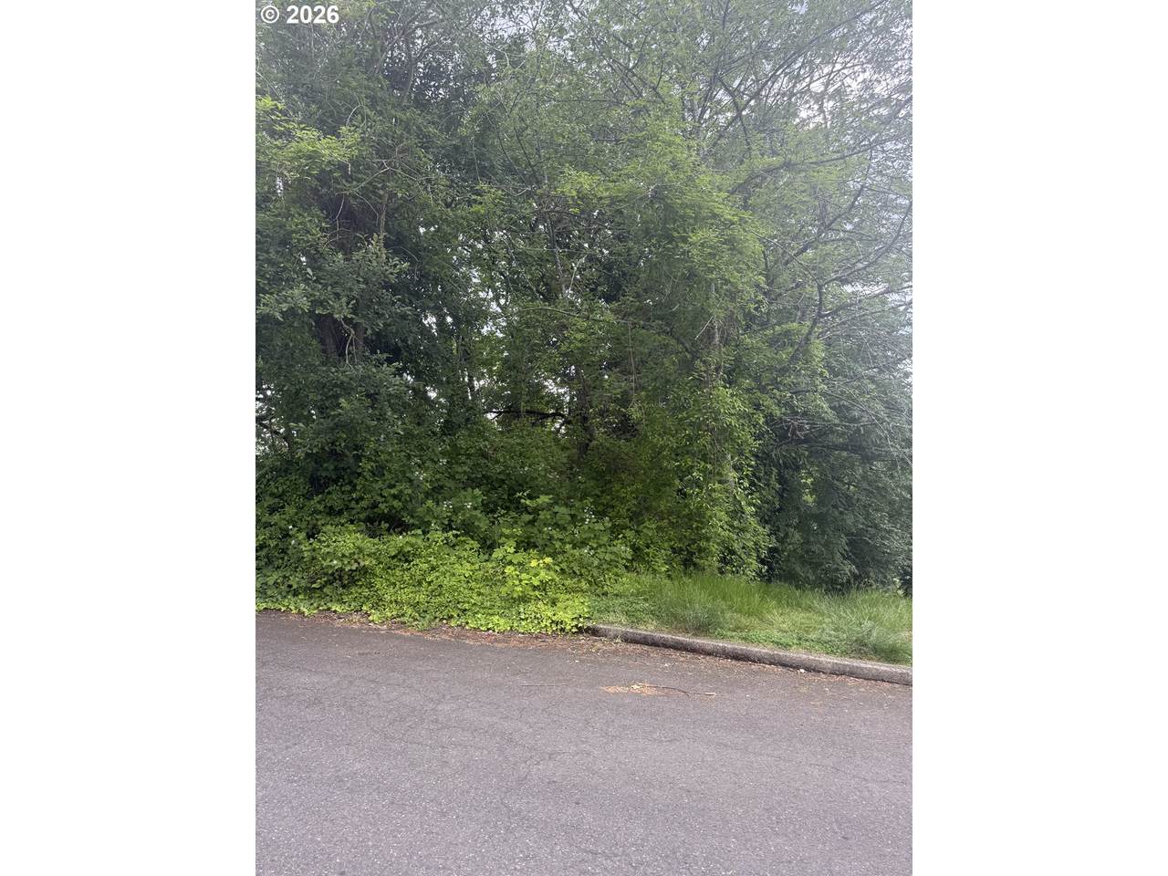 9821 34TH Pl - Photo 1
