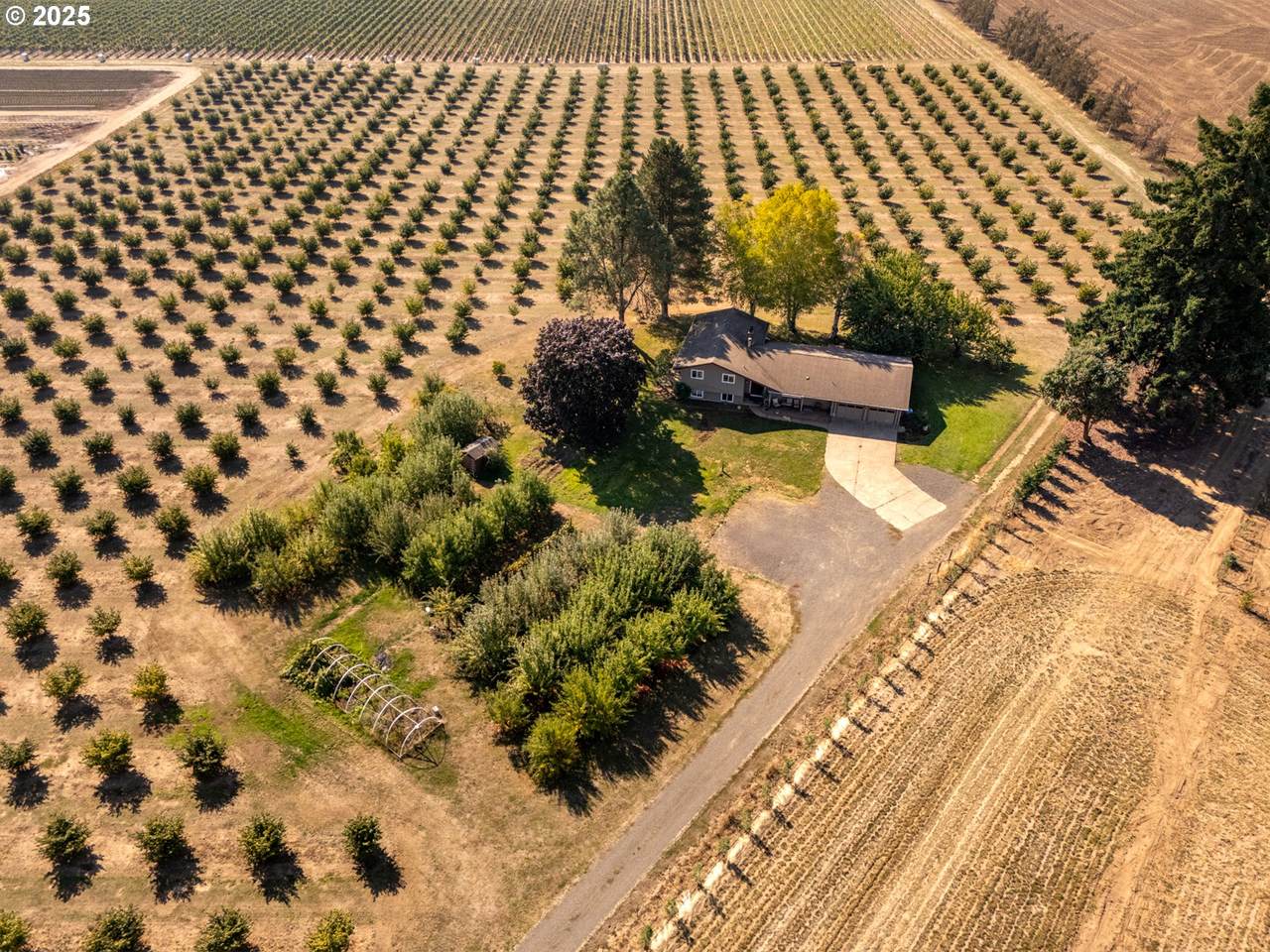 24730 Tile Flat Rd - Photo 1