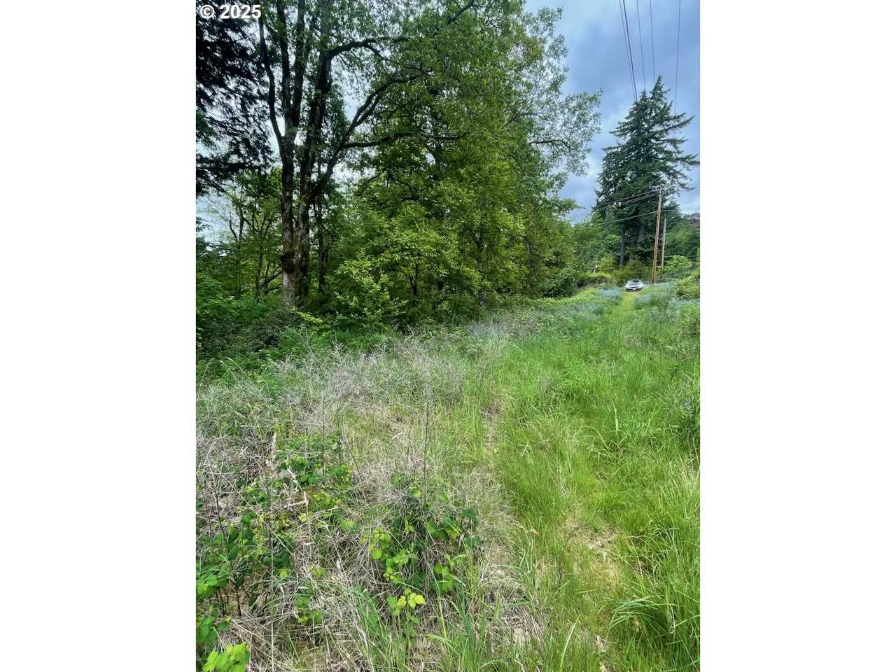  Carson Depot Rd - Photo 1