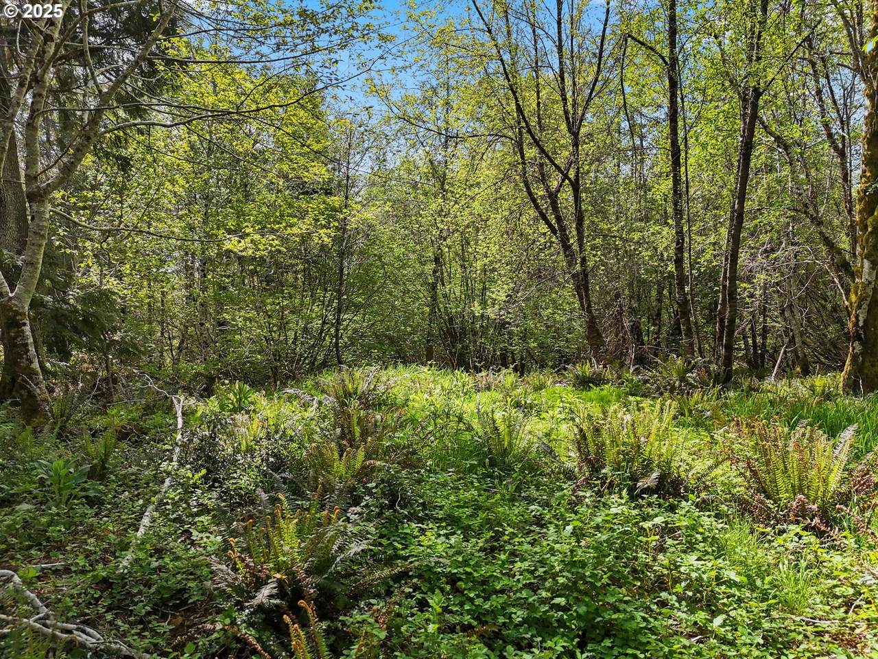 1420 Raymond-South Bend Rd - Photo 1