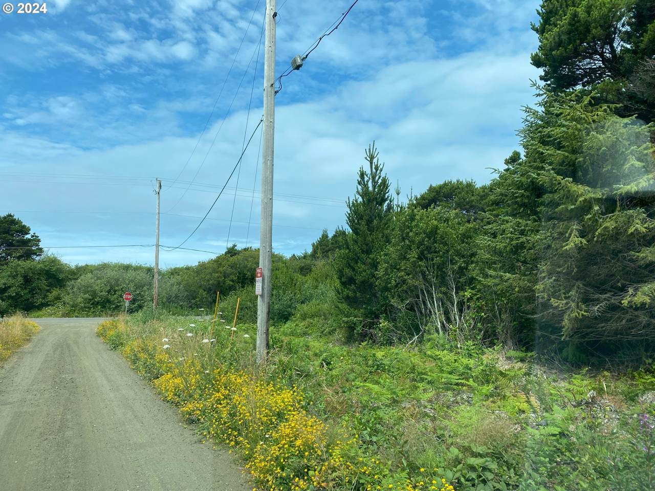  Oregon Coast Highway - Photo 1