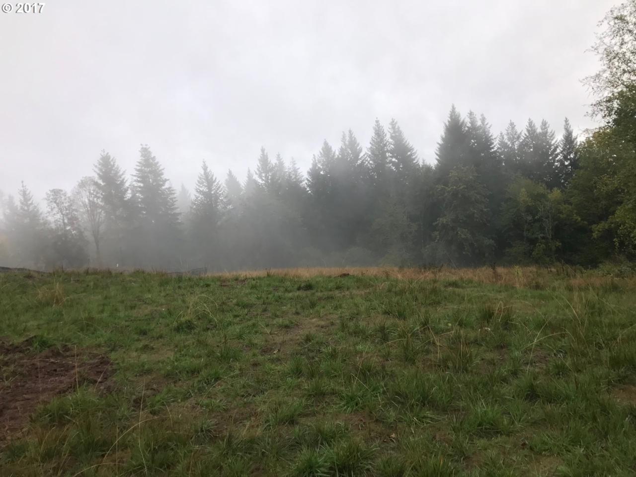 13798 Diamond Ridge Rd - Photo 1