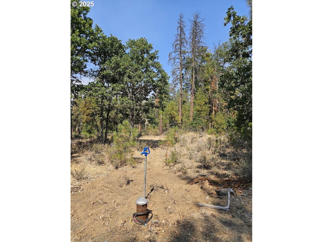  Hawks Wind Rd - Photo 1