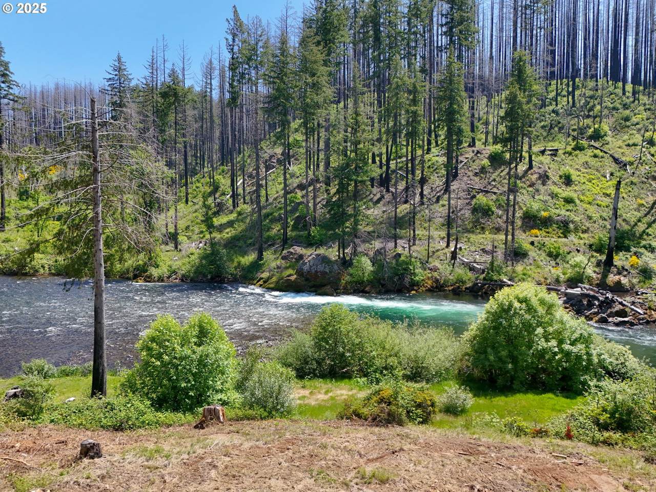 47772 Mckenzie Hwy - Photo 1