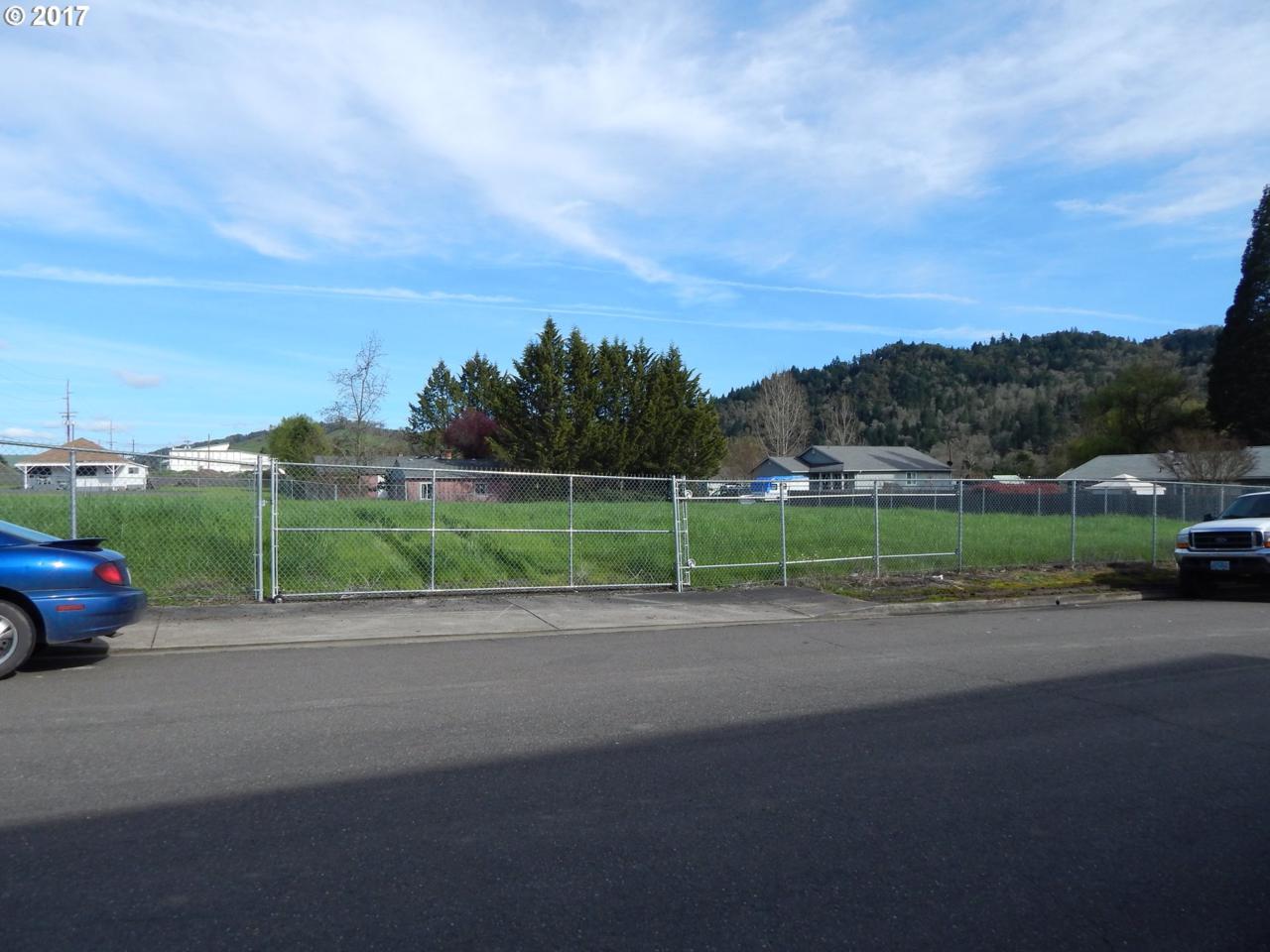 2935 Diamond Lake Blvd - Photo 1
