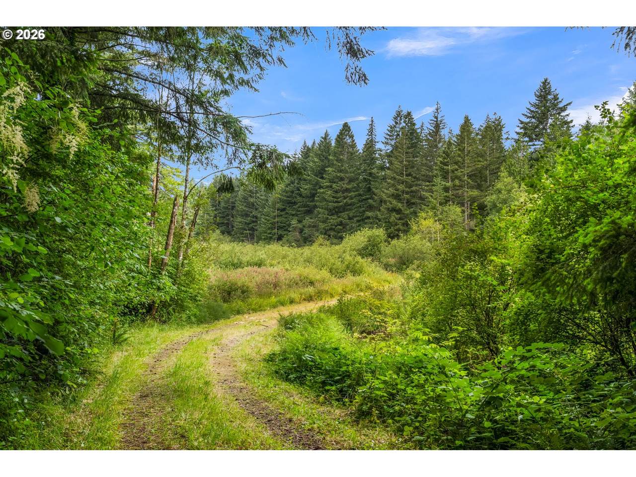 https://bt-photos.global.ssl.fastly.net/portland/1280_boomver_2_171536930-2.jpg