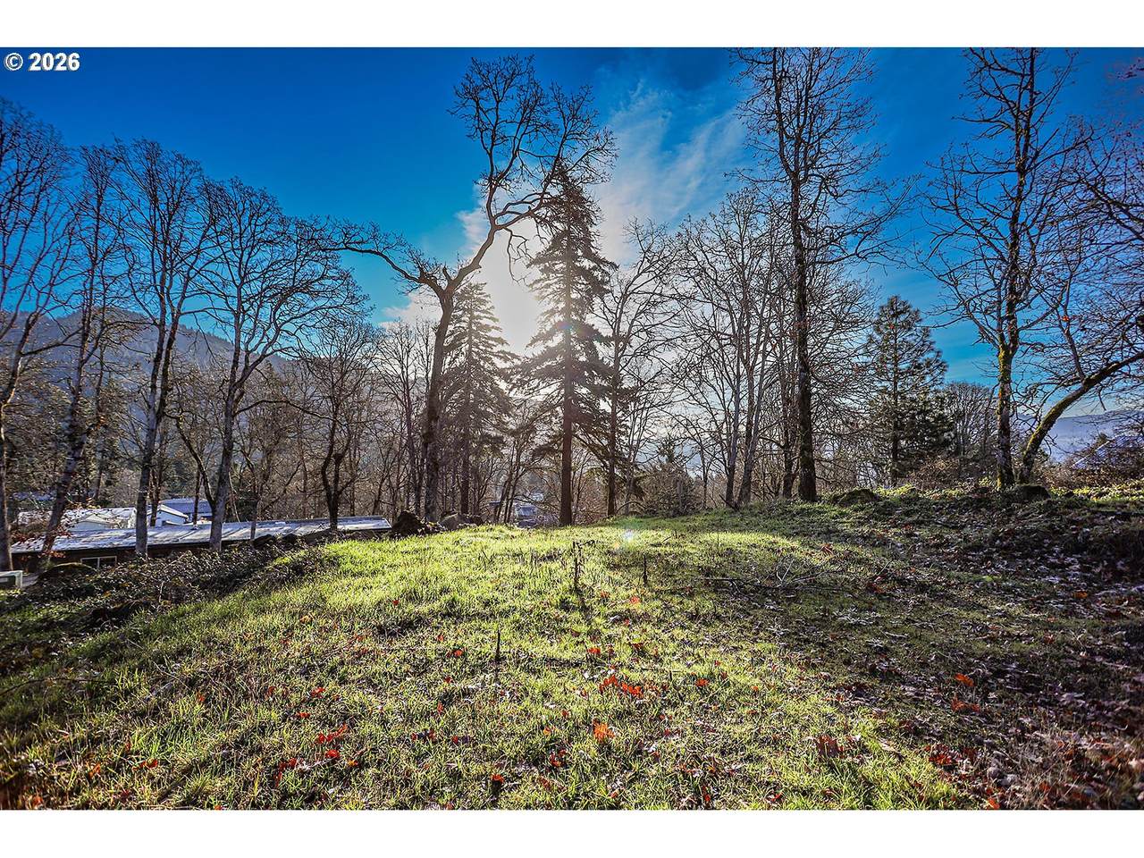 912 Hillside Ln - Photo 1