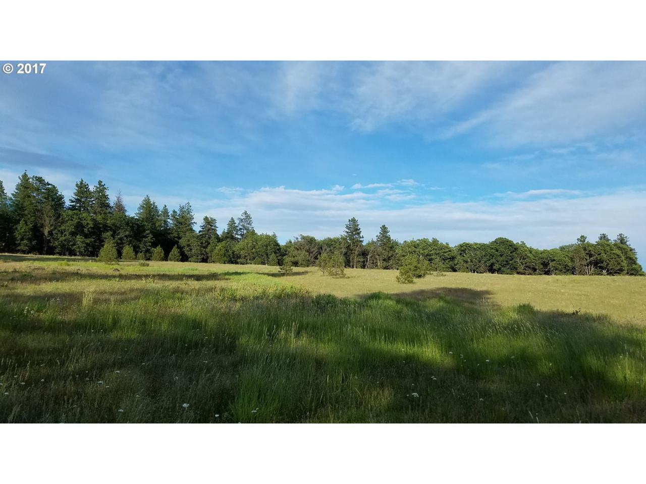 310 Orchard Heights Rd - Photo 1