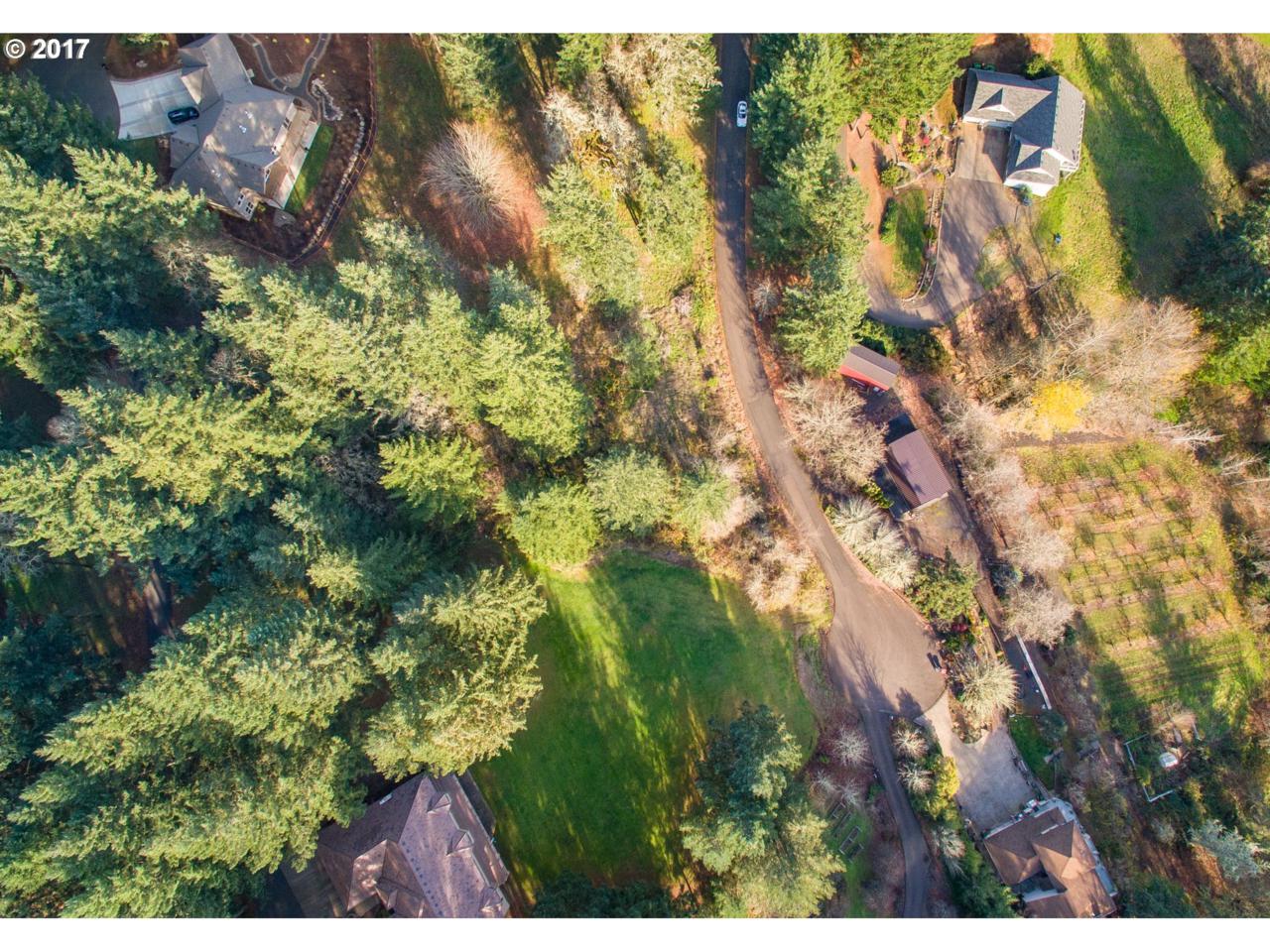 0 Wild Haven Ct - Photo 1