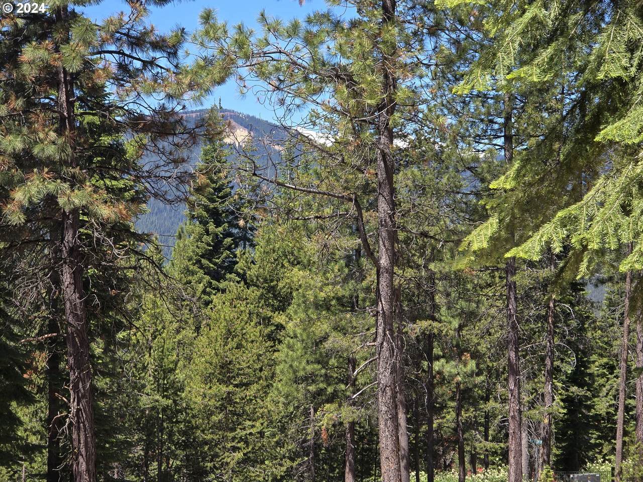 https://bt-photos.global.ssl.fastly.net/portland/1280_boomver_3_176305648-2.jpg