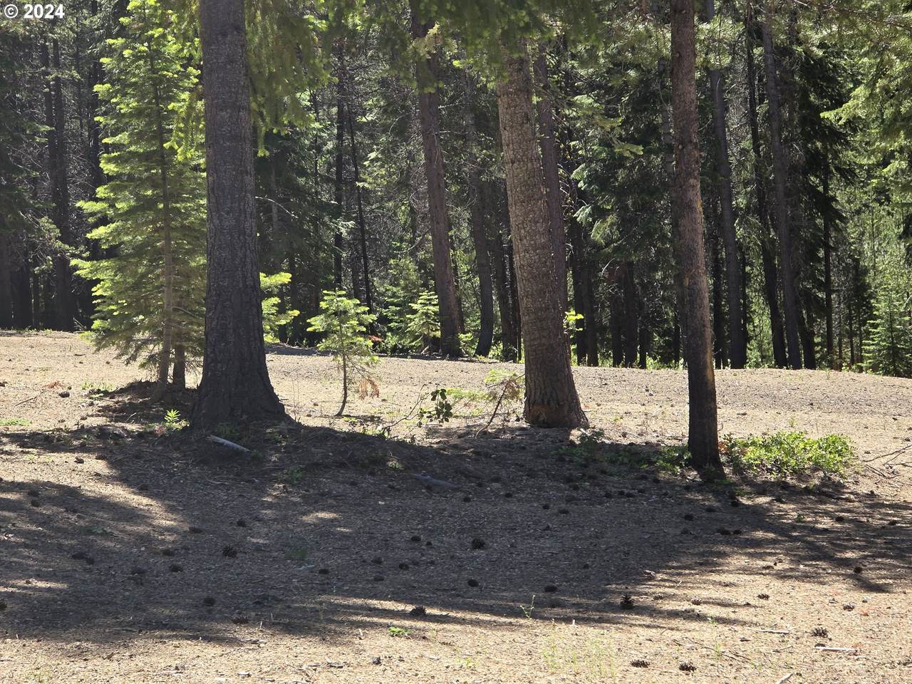 https://bt-photos.global.ssl.fastly.net/portland/1280_boomver_3_176305648-2.jpg