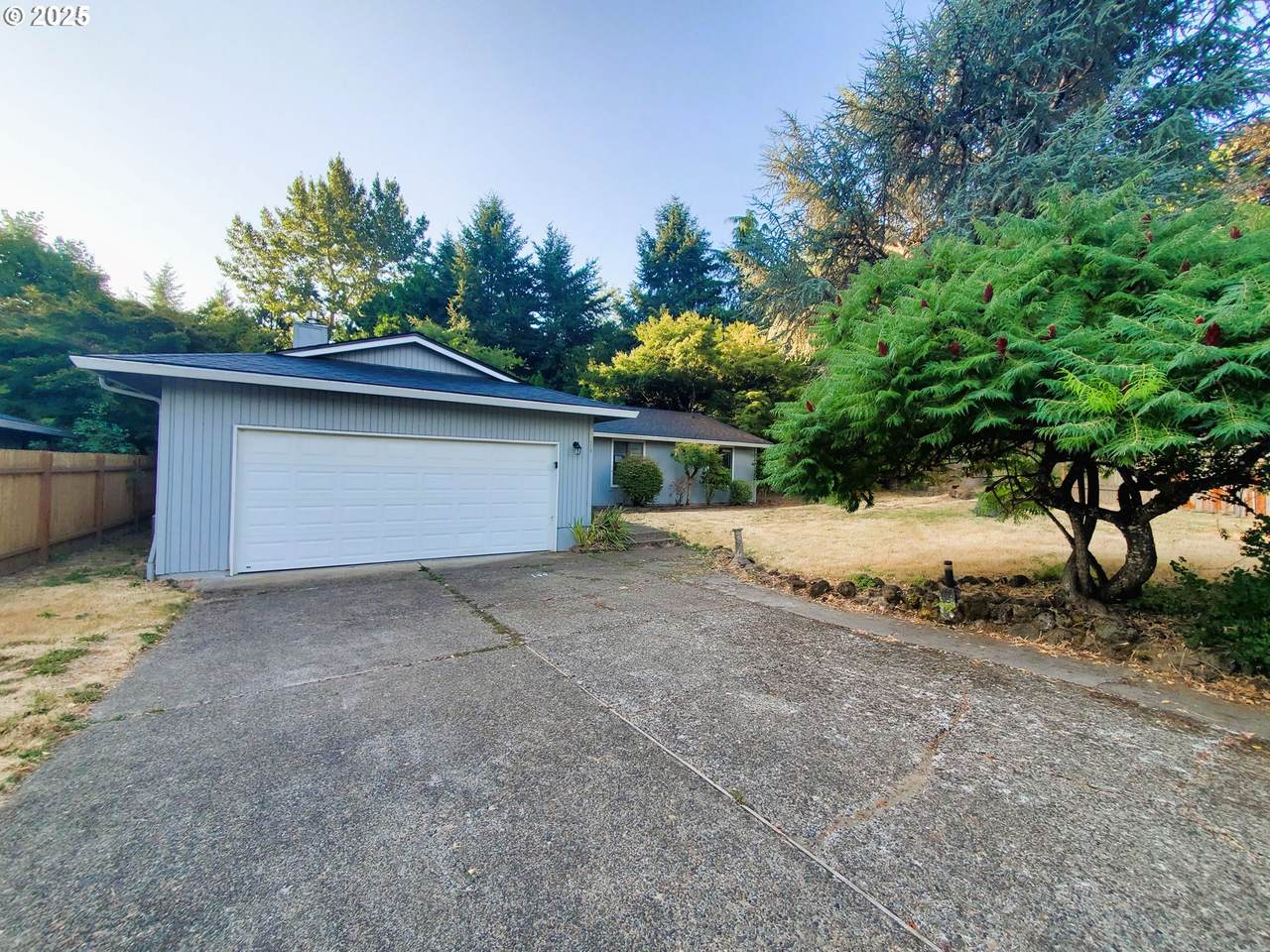 2976 Creek Ct - Photo 1