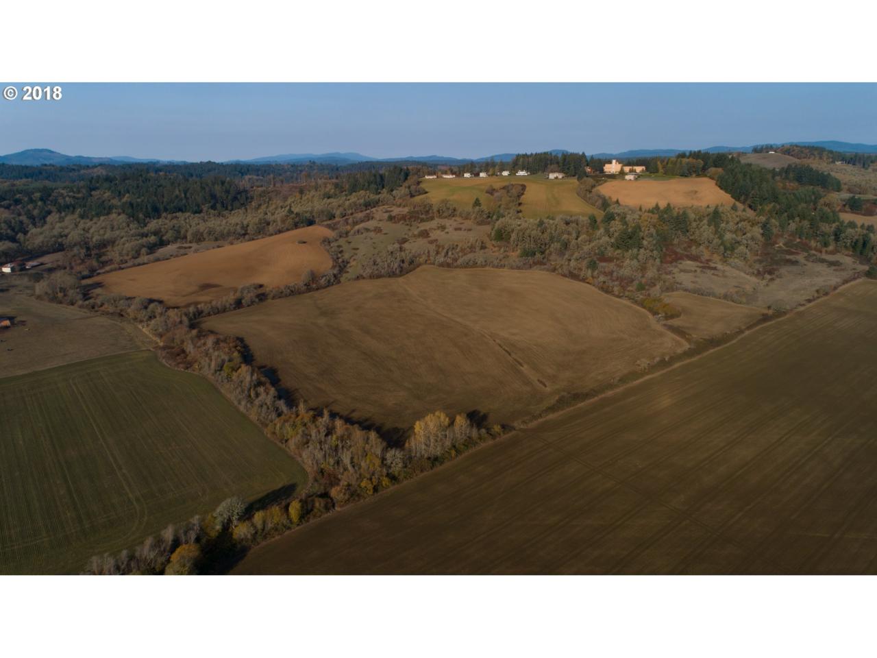 0 Pittman Rd - Photo 1
