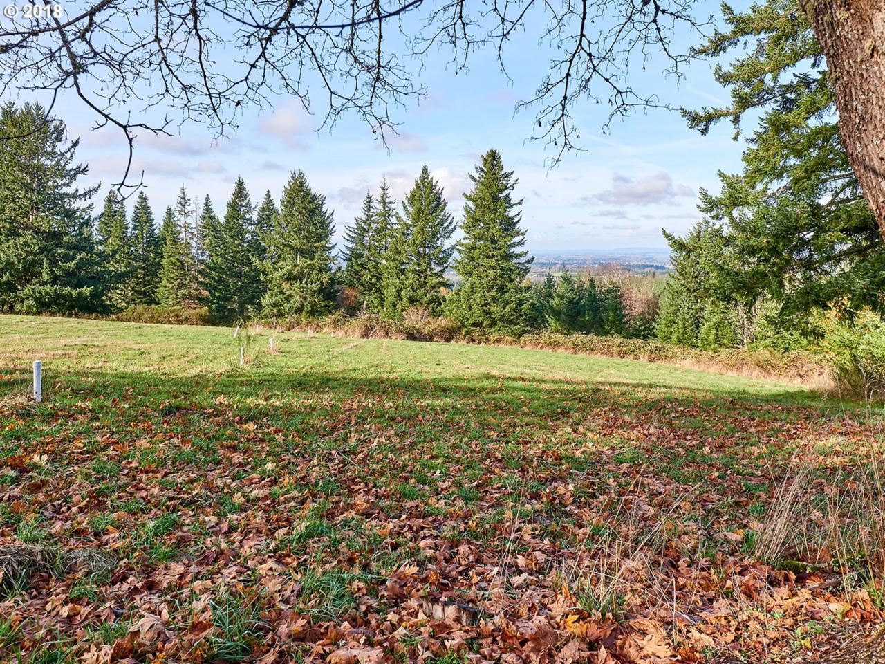 35517 Aqua Springs Rd - Photo 1
