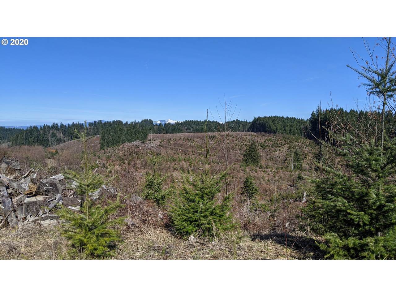 Haines Rd - Photo 1