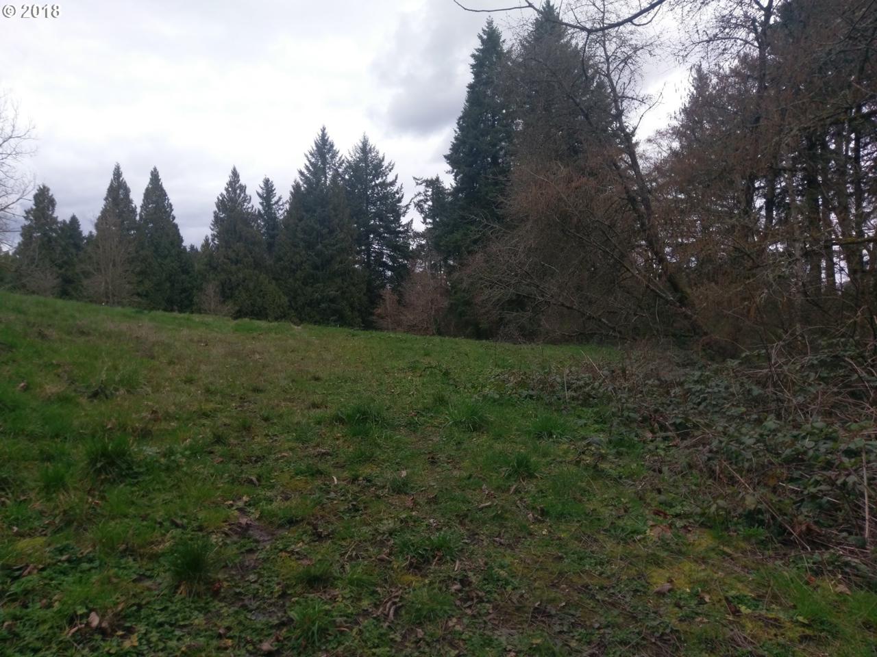 0 82nd Ave - Photo 1