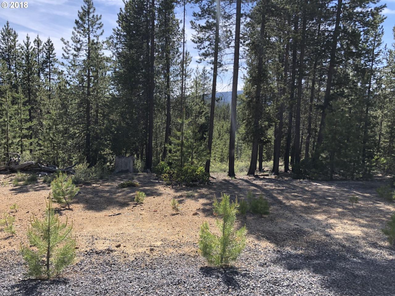 40 Diamond Meadows - Photo 1
