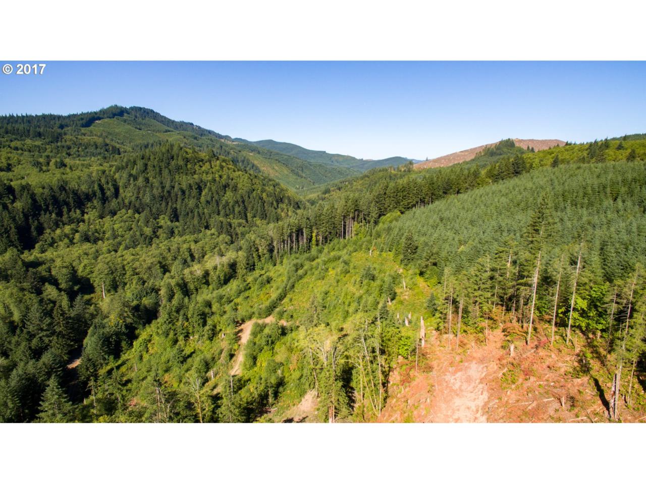 0 Dubois Rd - Photo 1