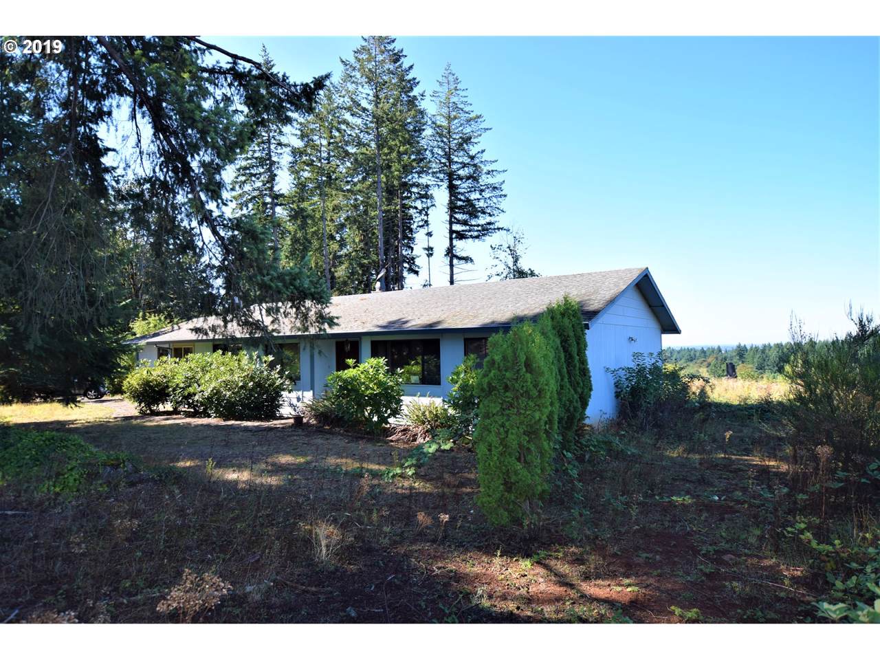 25375 Eldorado Rd - Photo 1