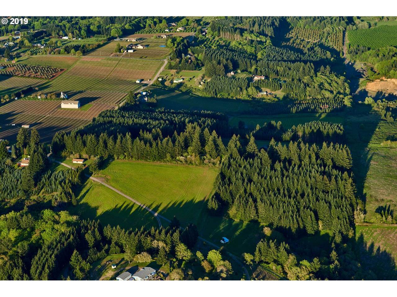 0 Three Trees Ln - Photo 1