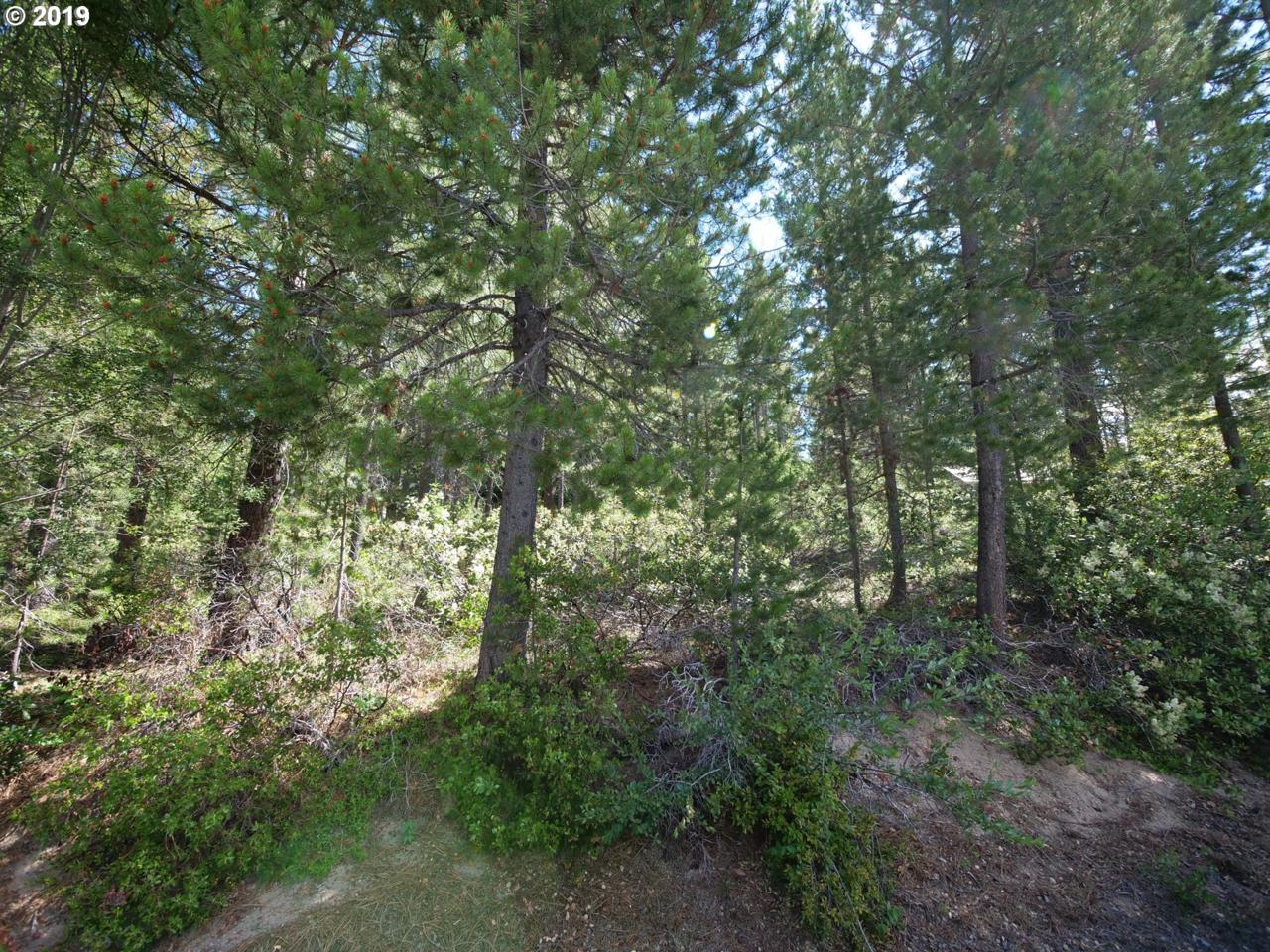 43 Clear Spring Way - Photo 1