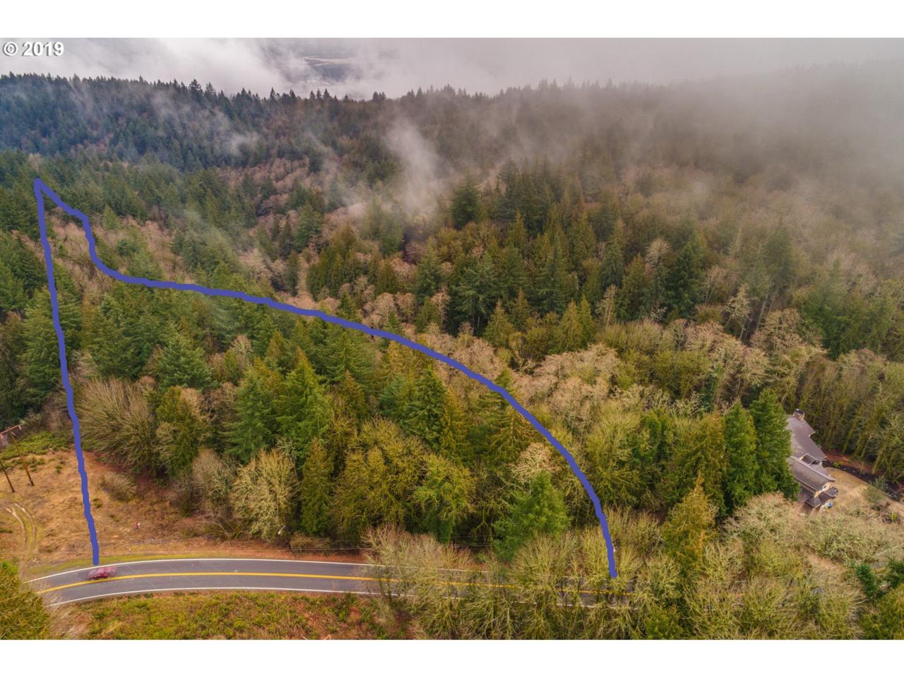 Skyline Blvd - Photo 1