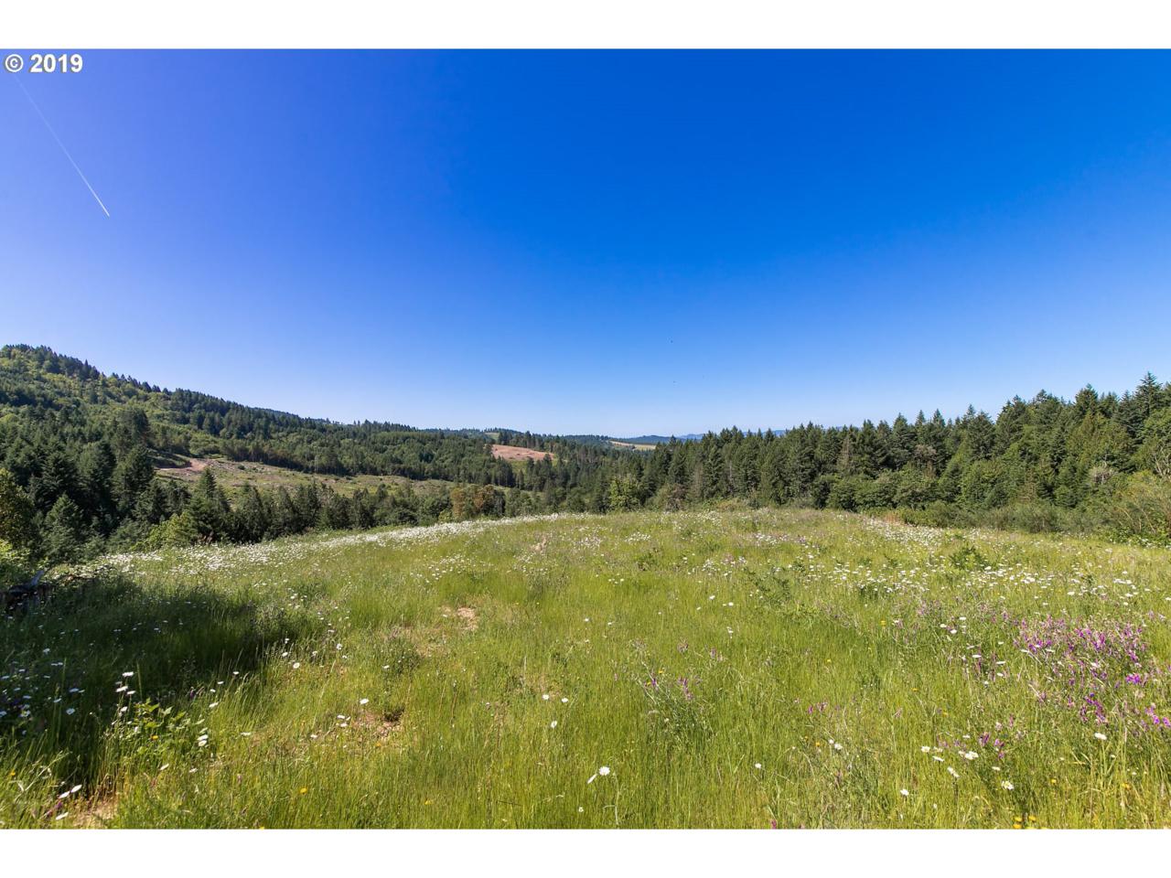 37251 Thimbleberry Dr - Photo 1