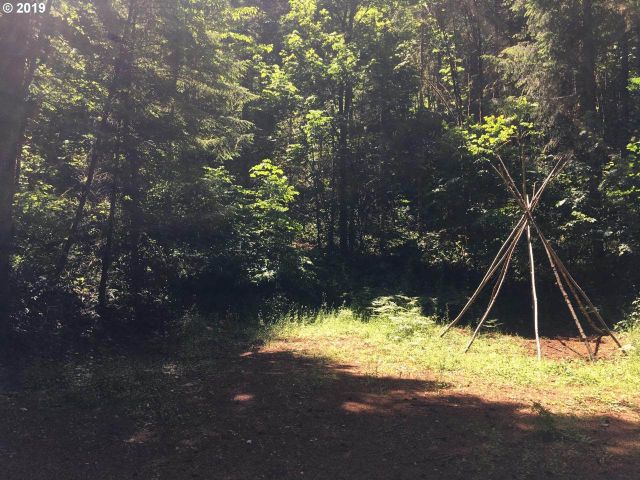 47570 Sunset Hwy - Photo 1