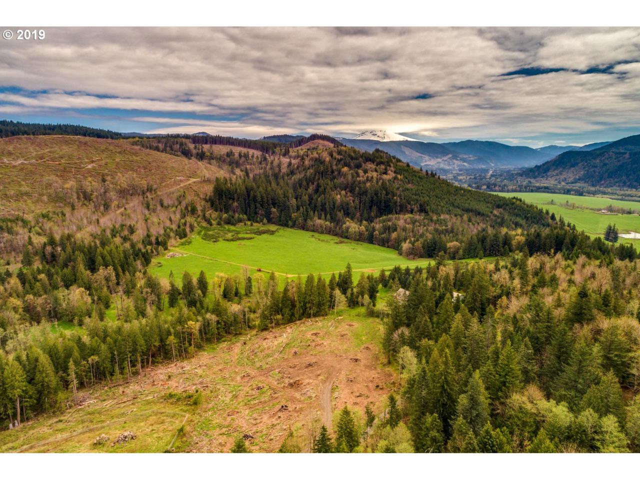 53321 Marmot Rd - Photo 1