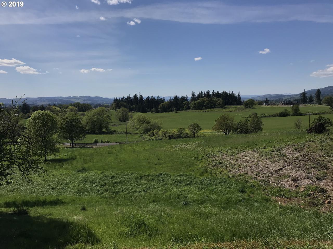 31775 Corral Creek Rd - Photo 1