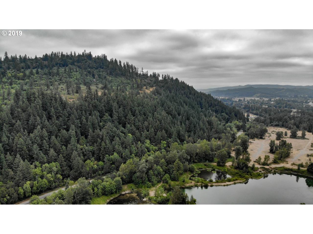 Ridgeway Butte - Photo 1
