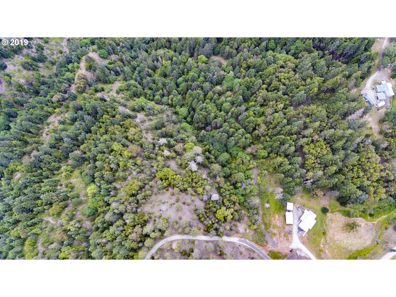 0 Spring Brook Rd - Photo 1