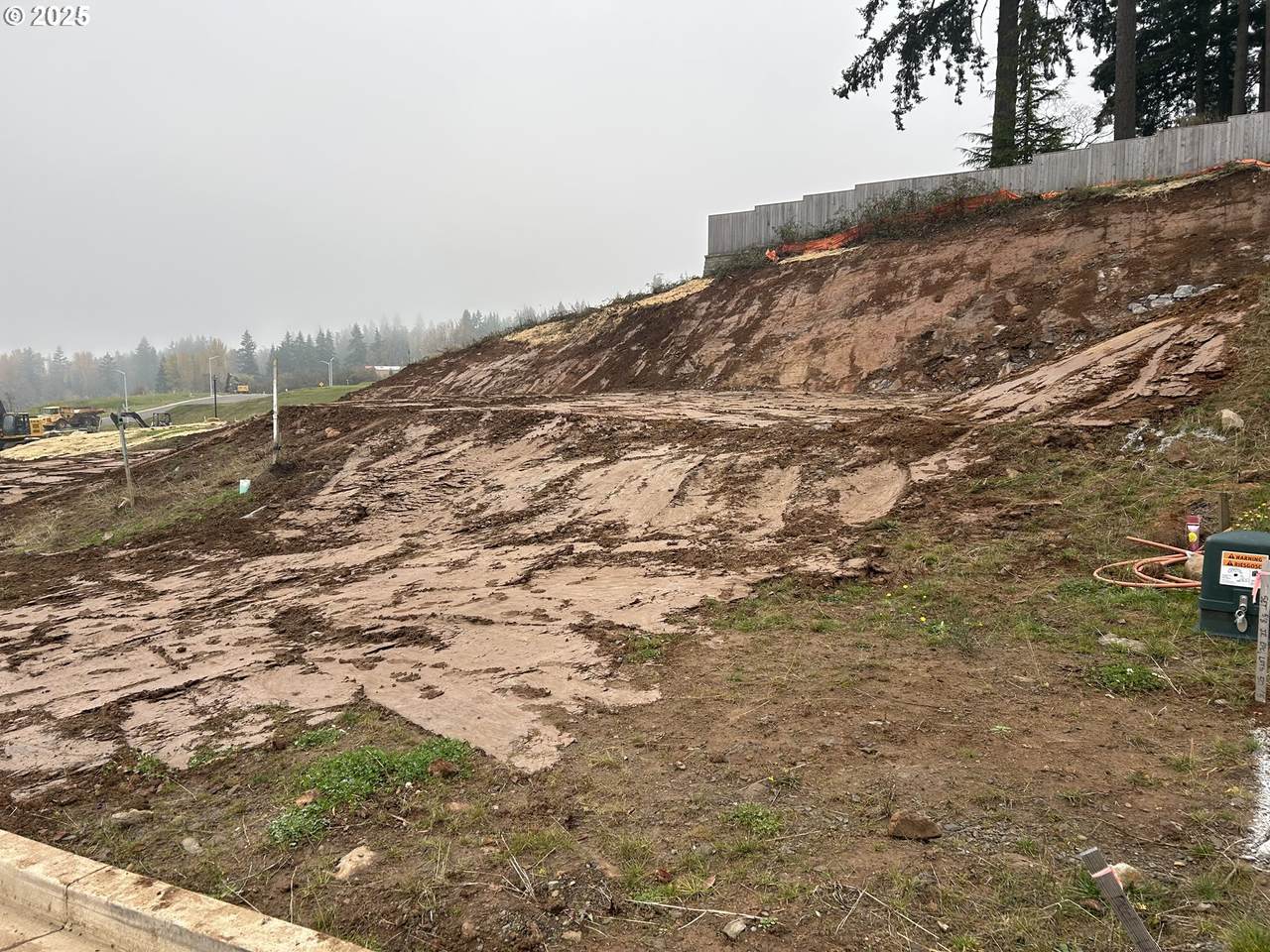 16092 Serres Farms Way - Photo 1