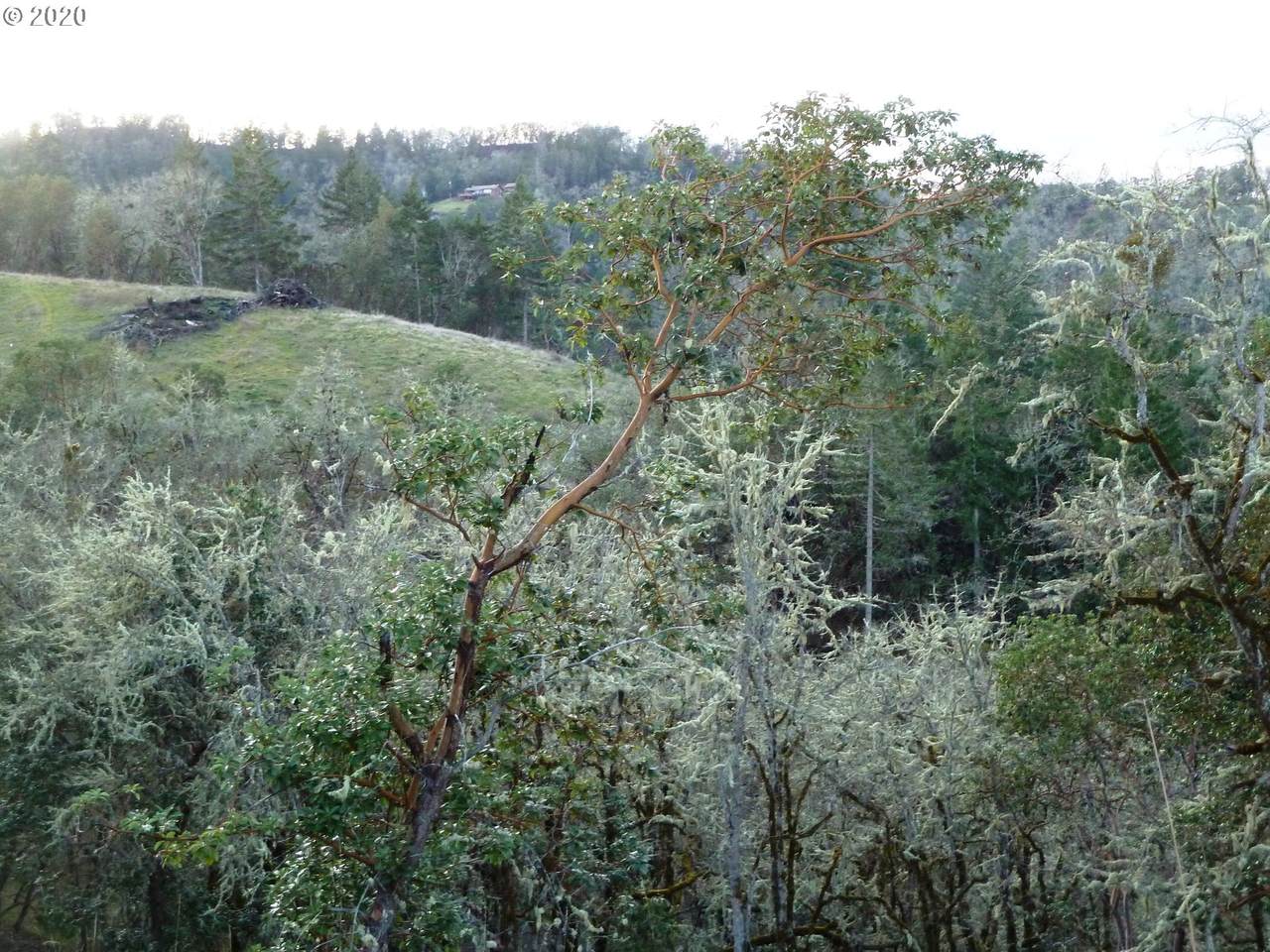 0 Old Melrose Rd - Photo 1