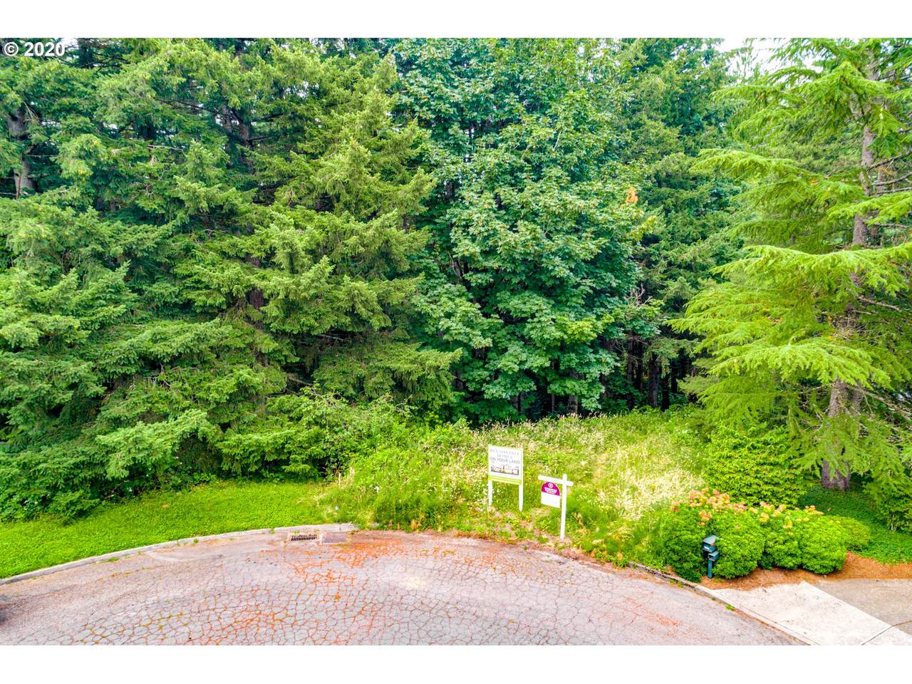 0 Callahan Rd - Photo 1