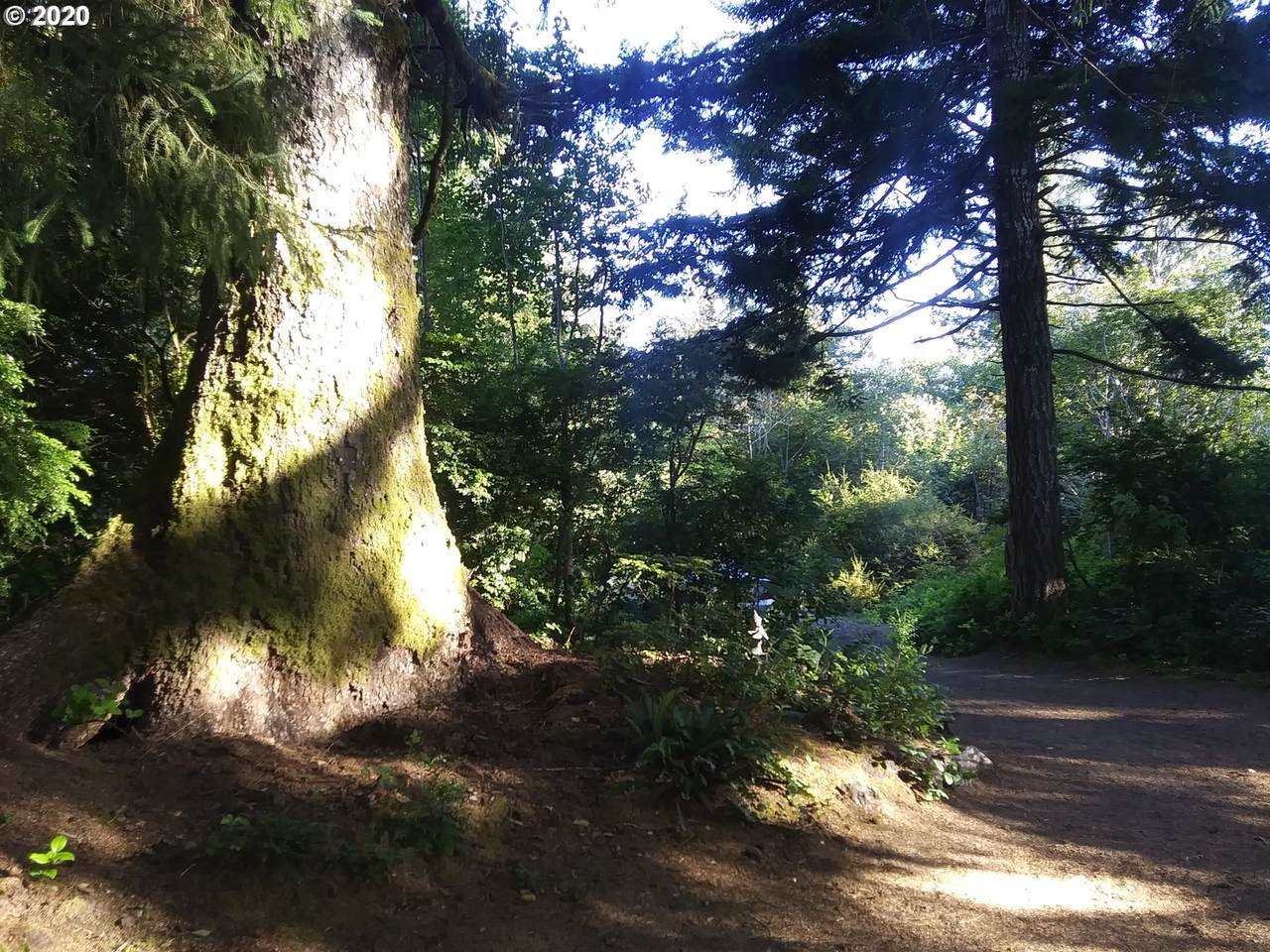 0 Clear Lake Rd - Photo 1