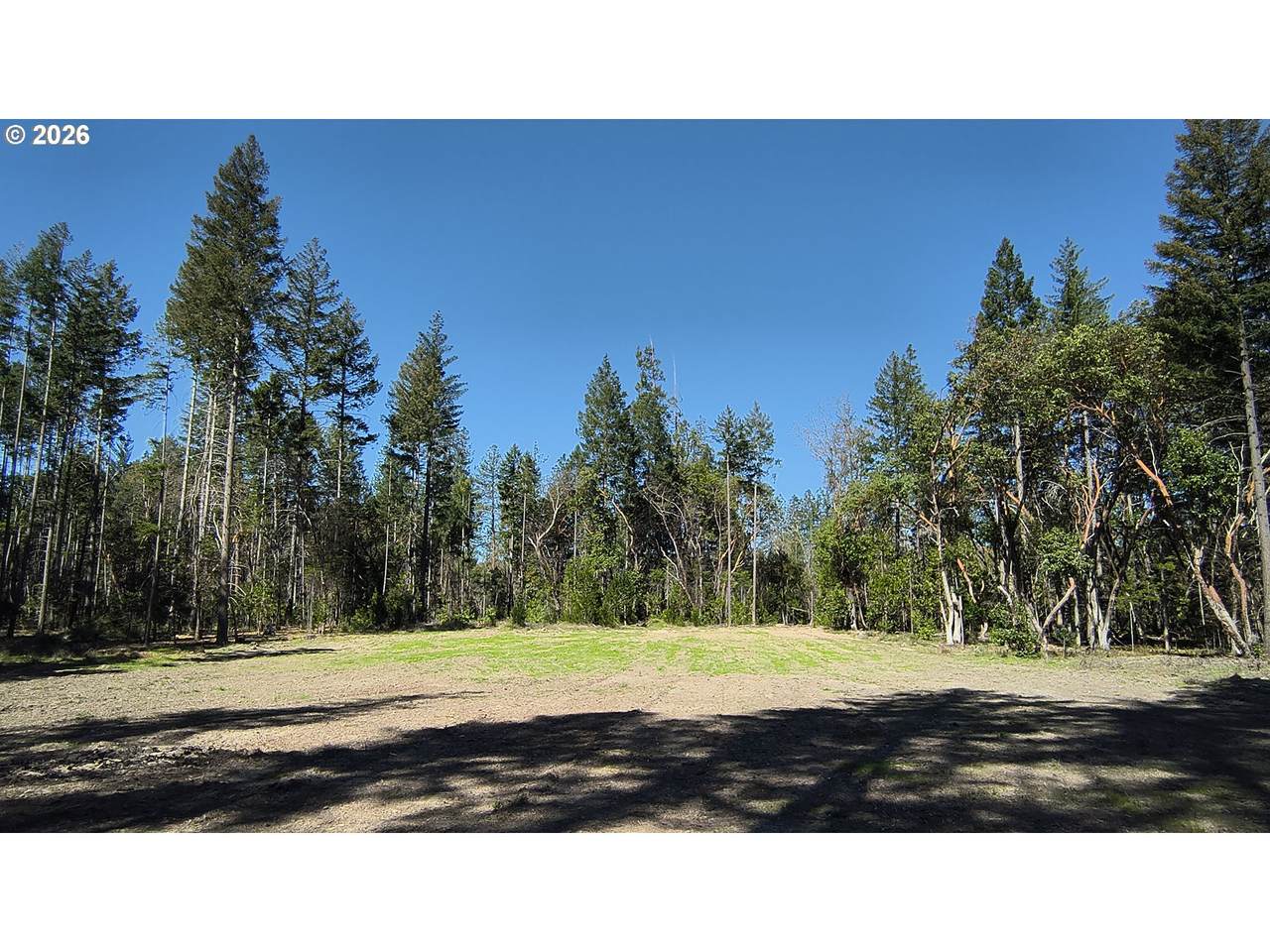 2100 Saratoga Way - Photo 1