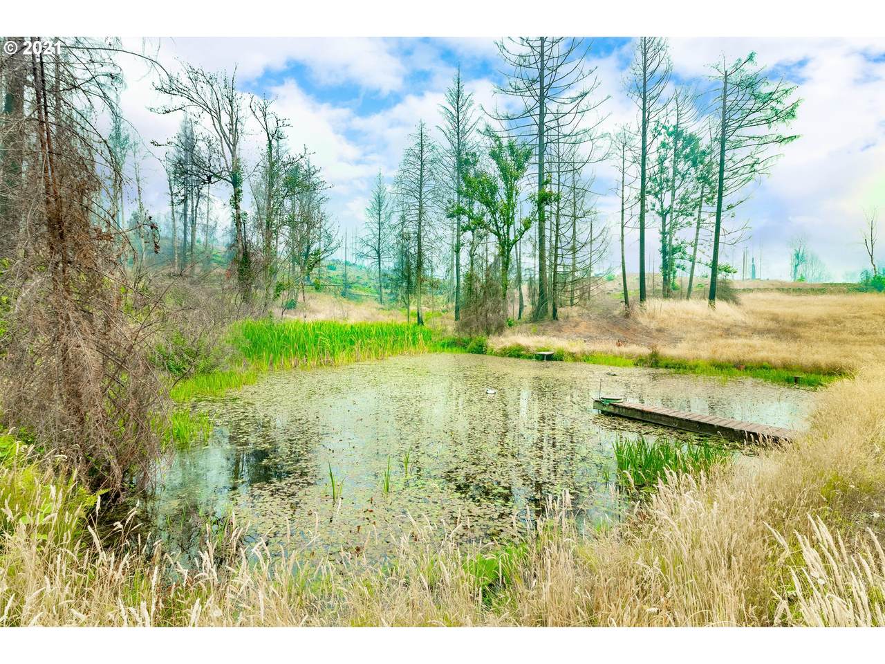 1262 Rock Creek Rd - Photo 1