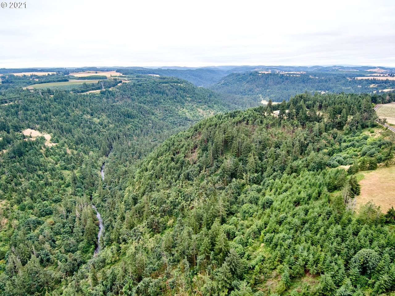 0 Silver Creek Canyon - Photo 1