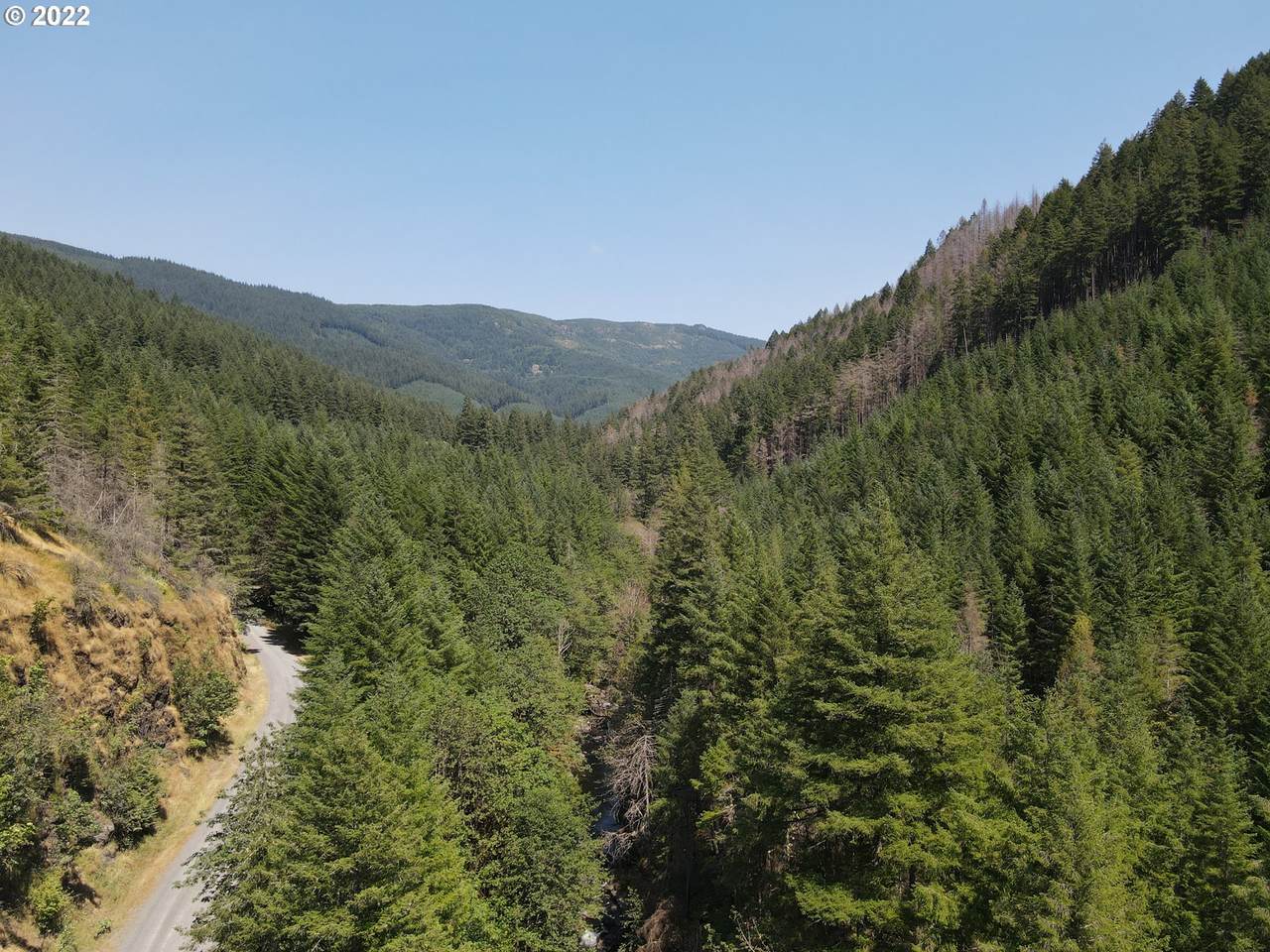  S Fork Molalla Rd - Photo 1
