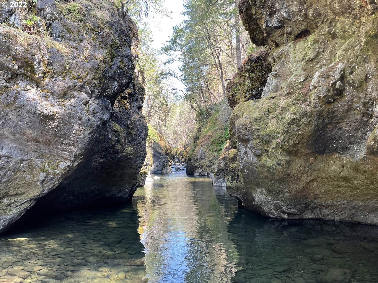 https://bt-photos.global.ssl.fastly.net/portland/1280_boomver_2_22005586-2.jpg