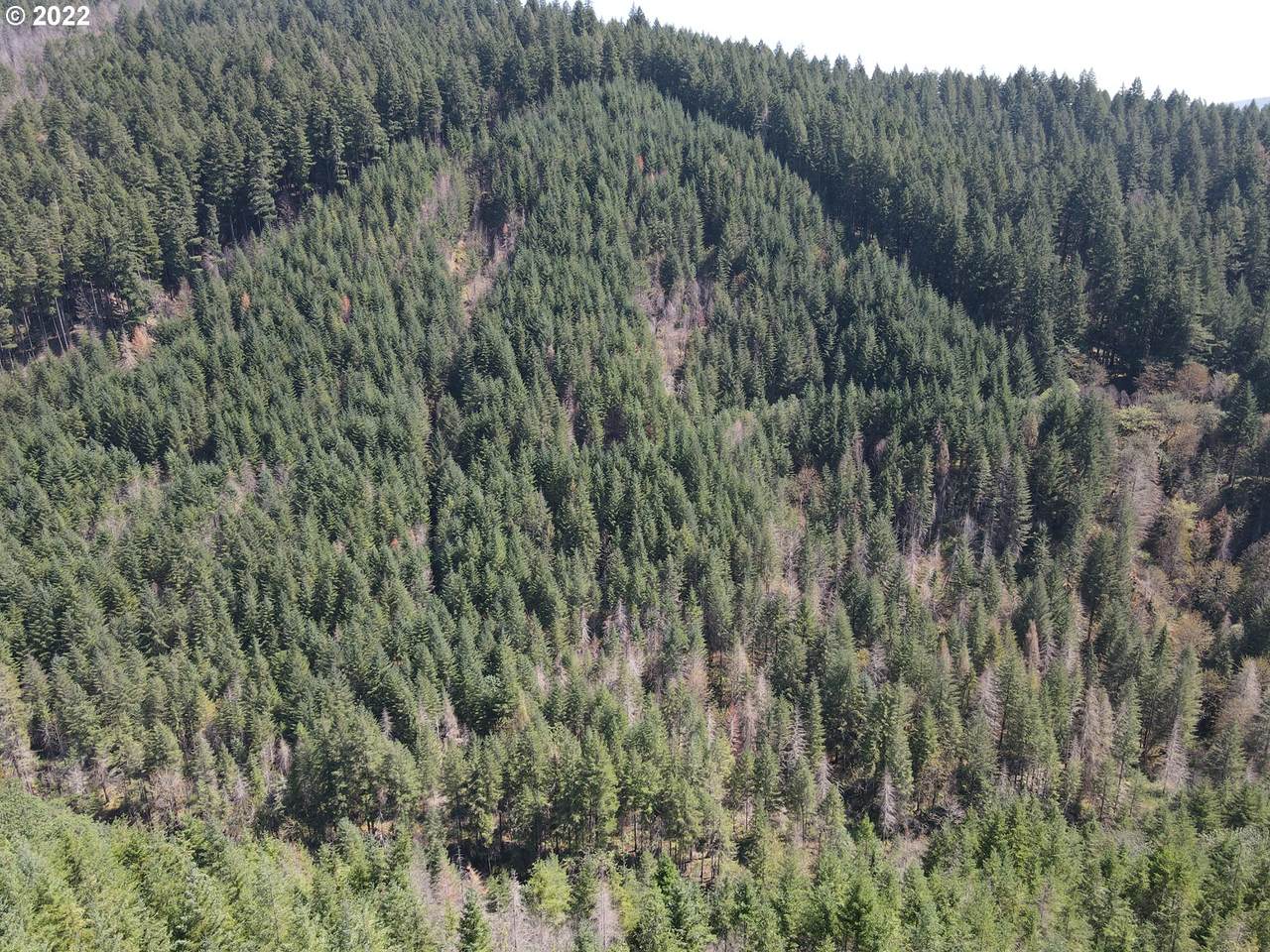 https://bt-photos.global.ssl.fastly.net/portland/1280_boomver_2_22005586-2.jpg