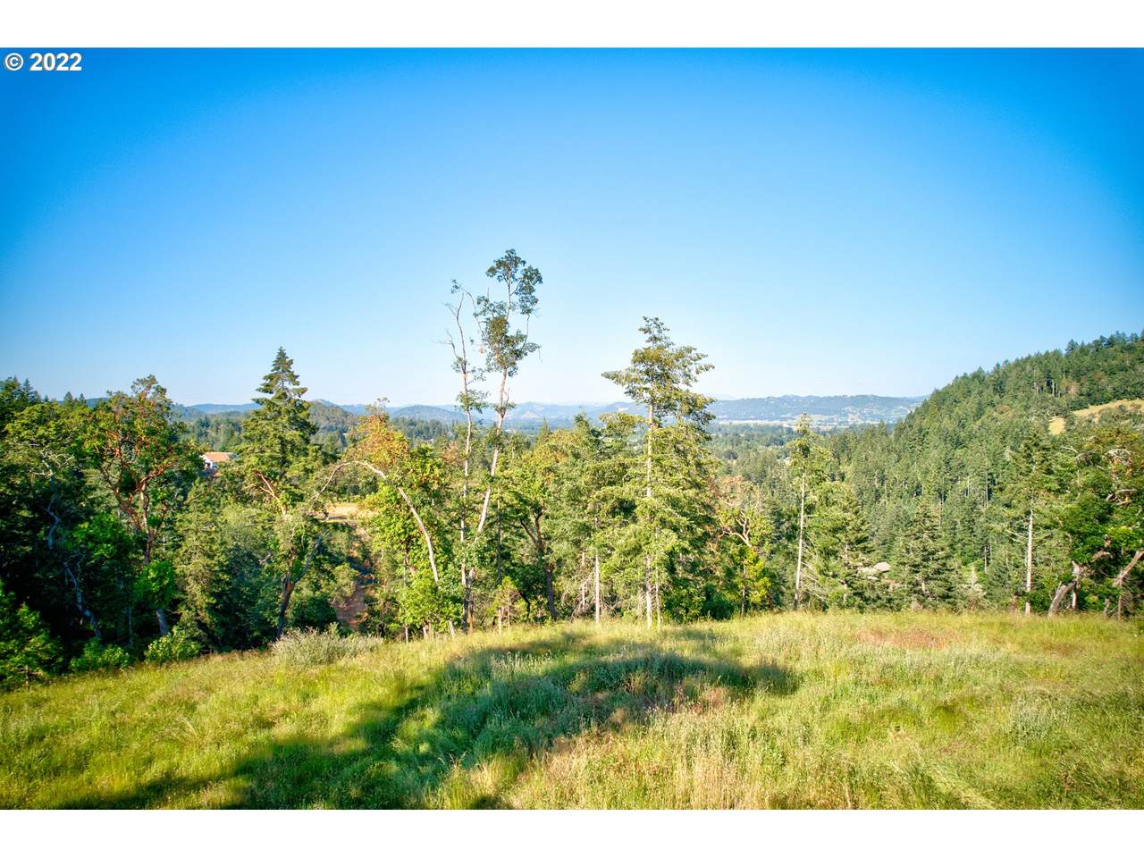 525 Panorama Ln - Photo 1