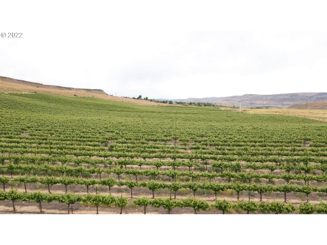 73809 Rattlesnake Rd - Photo 1