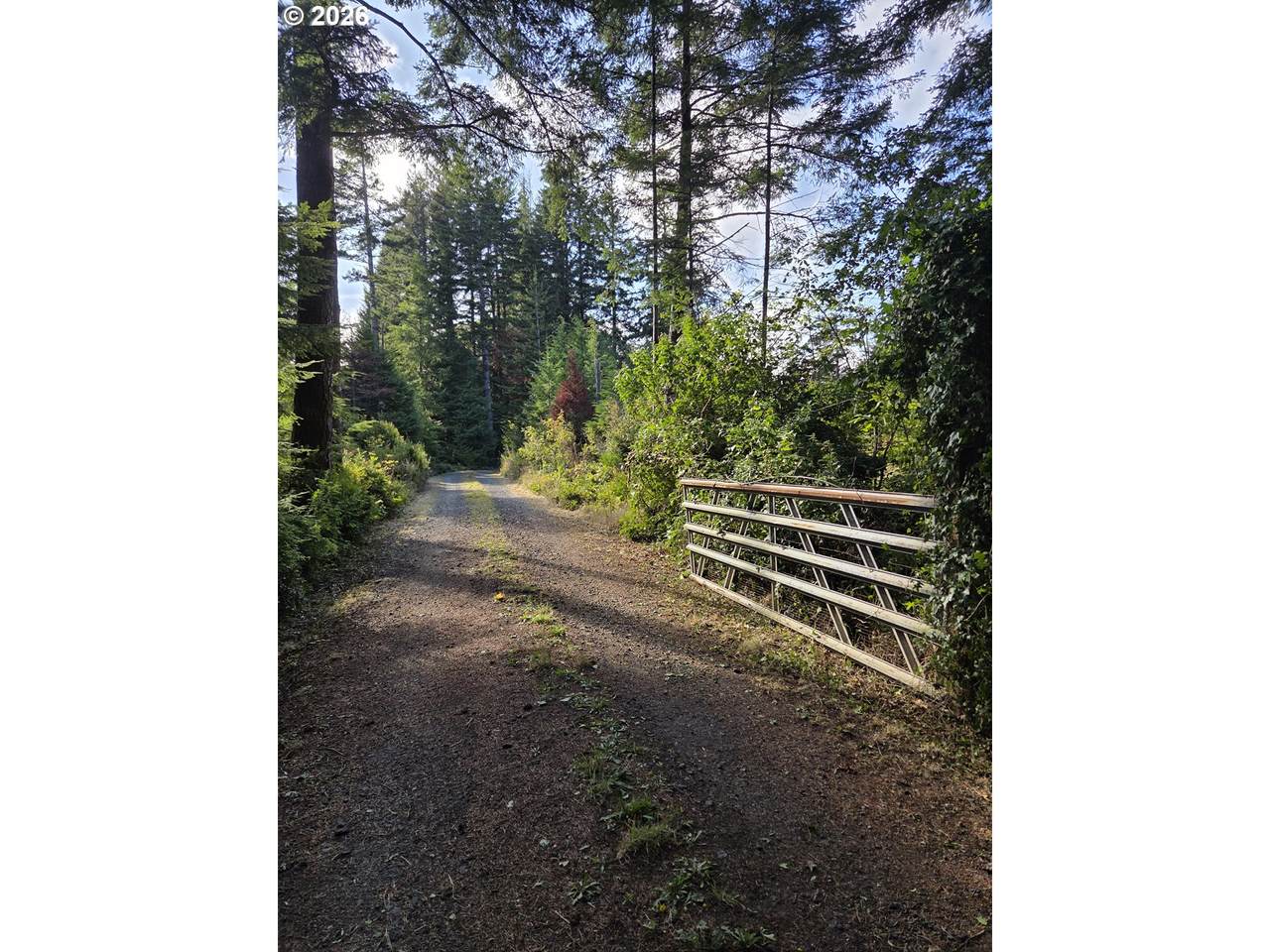 45088 Hwy 101 - Photo 1