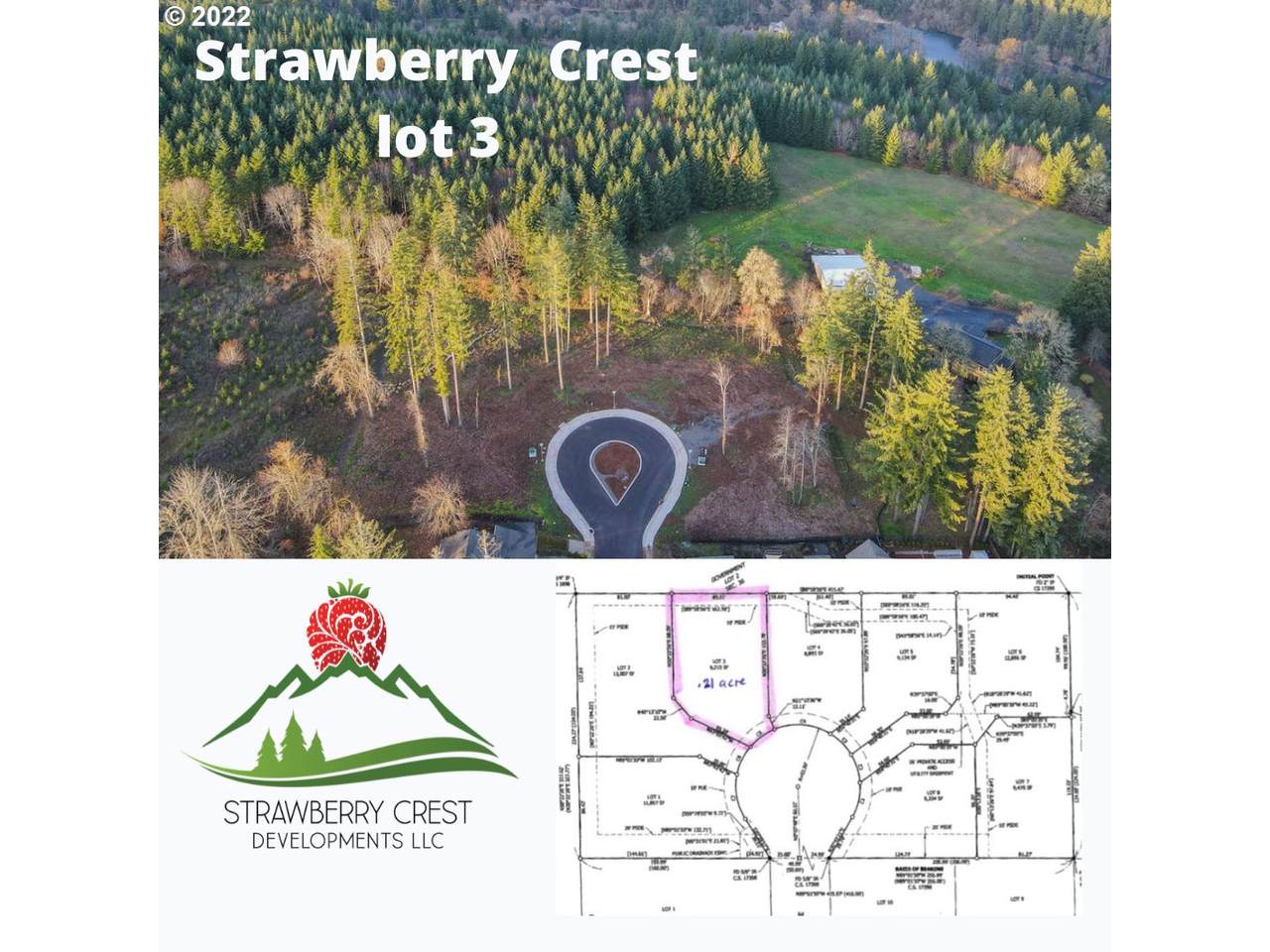Strawberry Crest - Photo 1